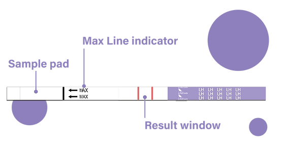 LifeClues Ovulation Test 10 Counts Ovulation Test Strips: Accurate Ovulation Predictor Kit for Women